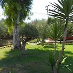 Vasiliki