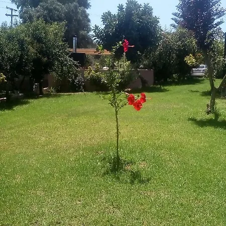 Vasiliki