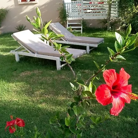 Vasiliki Апартаменты