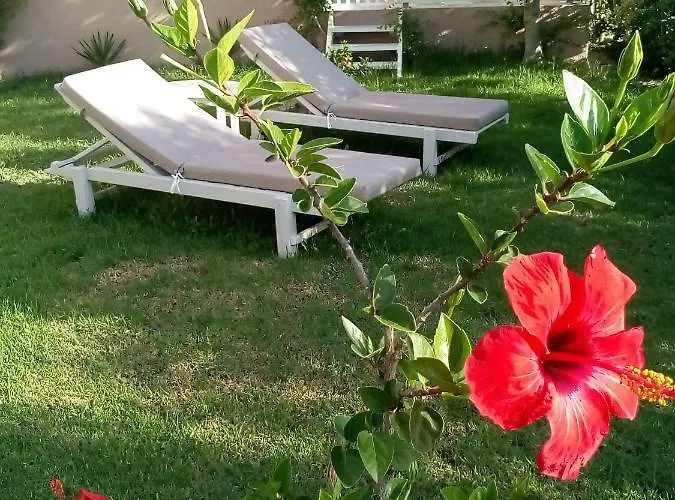 Vasiliki Apartment