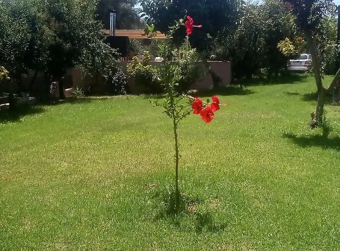Vasiliki